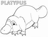 Platypus Coloring sketch template