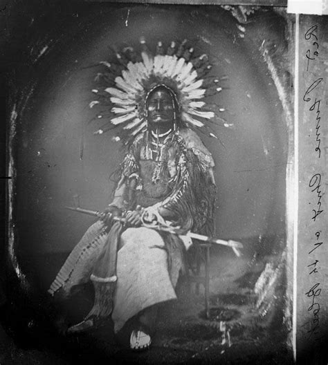 american native american indians native american native american history