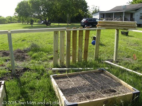 Two Men And A Little Farm Raised Bed Garden Fence Unveiling