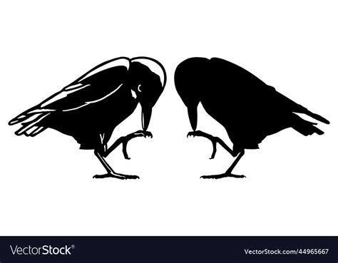 Silhouette Of Crow Raven Standing With One Leg Vector Image