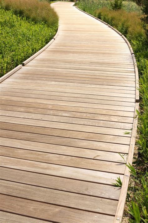 Wood Path Stock Photo Image Of Fresh Green Freedom 7102502