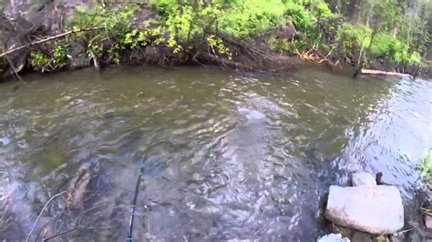 Red River New Mexico Trout Fishing - YouTube