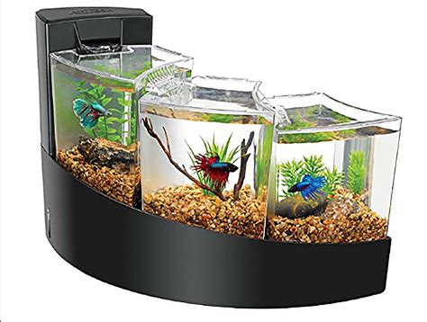 Deluxe Aquatic Turtle Kit Aquarium Kit Zilla Artofit