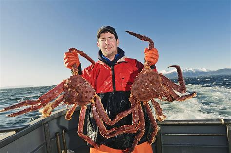 Wild caught alaskan king crabs. Fishing for Alaska King Crab - Alaskan King Crab