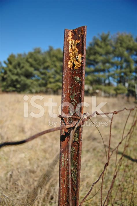 Rusty Fence Stock Photo Royalty Free Freeimages