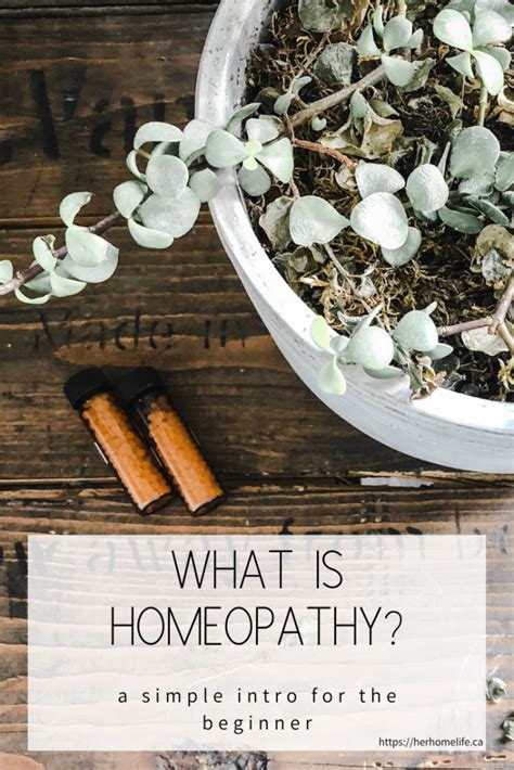 What Is Homeopathy A Simple Introduction For Beginners Homeopathy