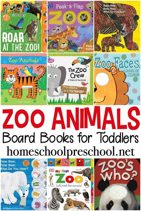 20 Engaging Board Book Zoo Animal Books For Toddlers