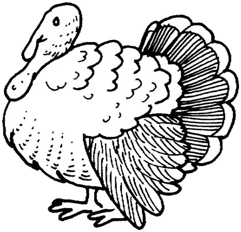 Home > animal > free printable turkey coloring pages for kids by best coloring pages august 12th 2013 turkeys are large birds that can be found in farmlands or wild forests. Wild Turkey Coloring Pages - Coloring Home