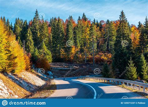 Winding Mountain Road In Autumn Forest Stock Image Image Of Colorful