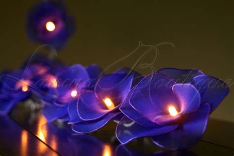 To pay homage to their room changing abilities, we have. 20 BLUE Nylon Rose Flower LED String Fairy Lights Lanterns ...