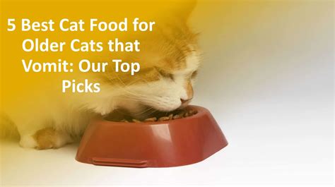 5 Best Cat Food For Older Cats That Vomit Our Top Picks