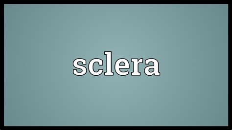 The sound as well as picture quality are best on this tv screen. Sclera Meaning - YouTube