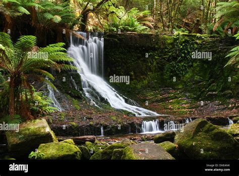 Horseshoe Falls In Mount Field National Park In Tasmania Australia