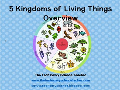 5 Kingdoms Of Living Things Classification Overview