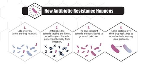 The Development Of Antibiotic Resistance Bacteria Antibiotic