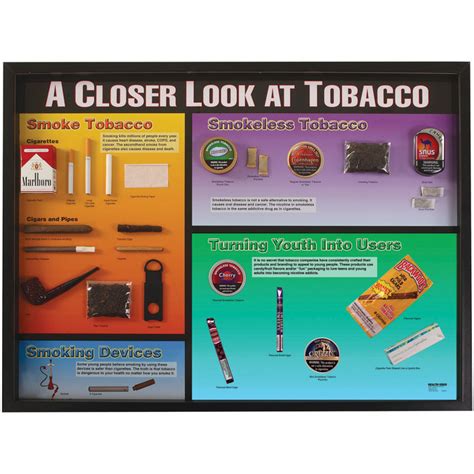 Three types of flowers are usually found in. Types Of Tobacco Products 3-D Display | Health Edco