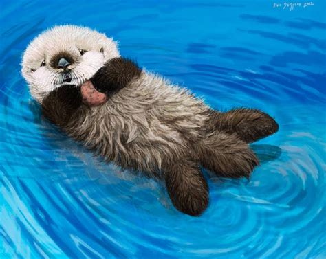 Sea Otter Awareness Week Newborn Otter Pup By Psithyrus On Deviantart Otter Pup Otters Cute