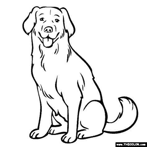 Labrador Coloring Page Yellow Lab Chocolate Lab Dog Line Art Dog