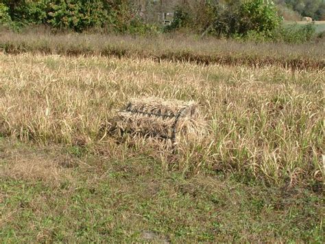 Homemade Field Duck Blinds Homemade Ftempo