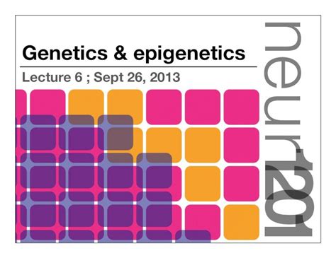 Pdf 7 Genetics And Epigenetics Dokumentips