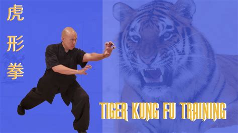 Tiger Kung Fu Training Stronger And Faster Youtube