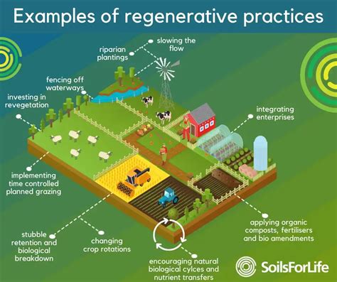What Is Regenerative Agriculture Soils For Life