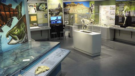 Visit the Museum | Museum of Natural and Cultural History