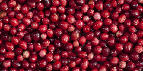 Cranberries Are Legit Good For You But They Still Wont Cure Your Utis