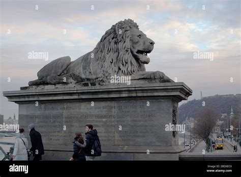 Lions Of Budapest Chain Bridge Stock Photo Alamy