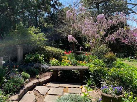 8 Must-see Charlotte Area Botanical Gardens - Charlotte On The Cheap