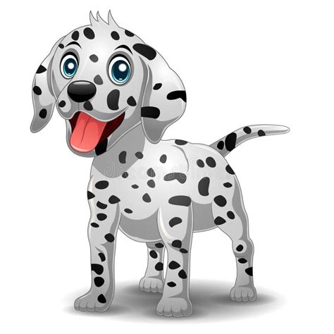 Dalmatian Dog Stock Illustrations 6260 Dalmatian Dog Stock