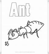 Coloring Ants Printable Pages sketch template