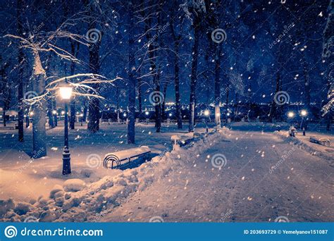 Winter Night Park With Lanterns Pavement And Trees Covered With Snow