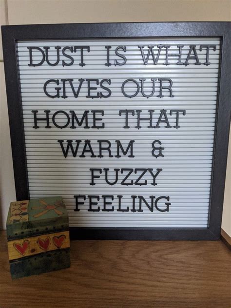 Dust Is What Gives Our Home That Warm And Fuzzy Feeling Message Board