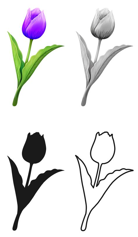 Set Of Tulip Flower 605005 Vector Art At Vecteezy