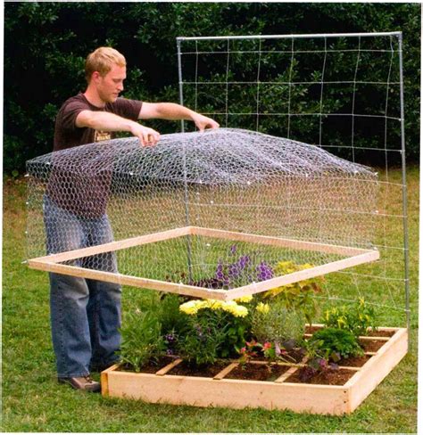 All New Square Foot Gardening Square Foot Gardening