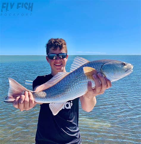 It also allows the holder to fish in freshwater and saltwater, and includes an oversize red drum tag. Pin by Fly Fish Rockport on Texas Saltwater Fishing ...