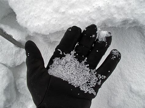 Graupel Under The New Snow Gallatin National Forest Avalanche Center