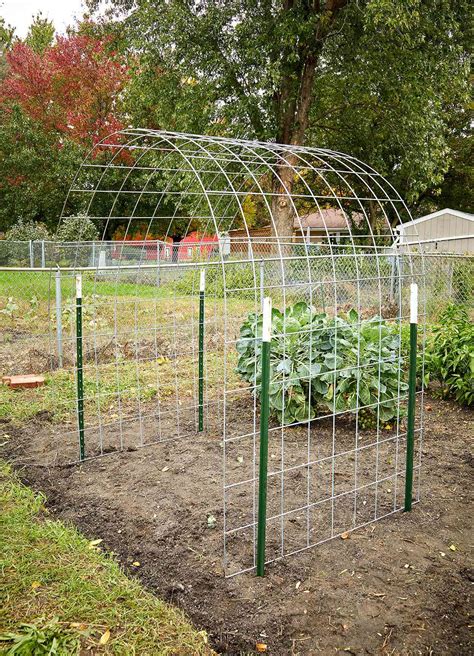 Diy Bean Trellis Better Homes And Gardens