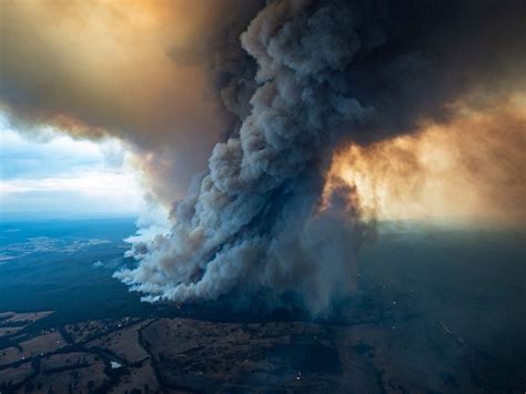Australian Bushfire Crisis How You Can Help Now