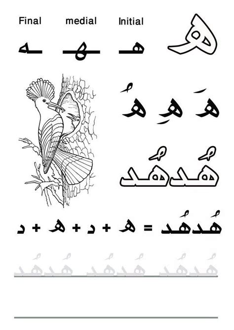 Haa هاء Arabic Alphabet Learn Arabic Alphabet Alphabet Worksheets