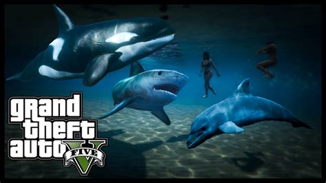 Gta 5 Play As Killer Whale Shark Dolphin And More Peyote Locations