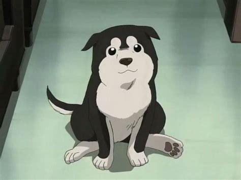 Crunchyroll Forum Cutest Dog In Anime Page 7