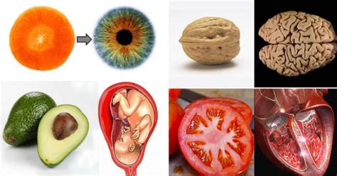 10 Foods That Look Like The Organs They Heal