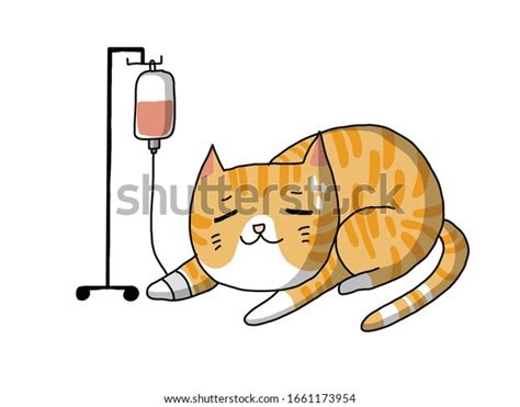 Draw Vector Illustration Sick Cat Isolated Stock Vector Royalty Free