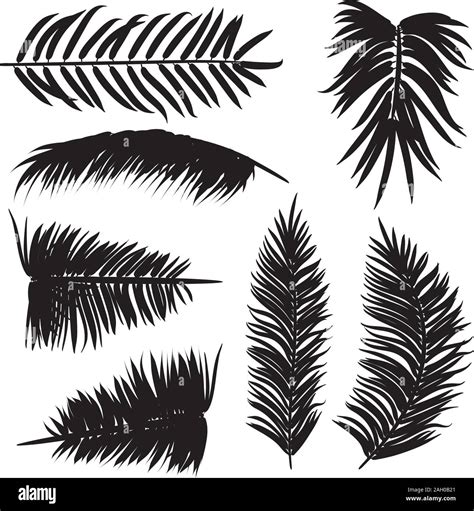Set Of Palm Tree Leaves Silhouettes In Different Styles Stock Vector
