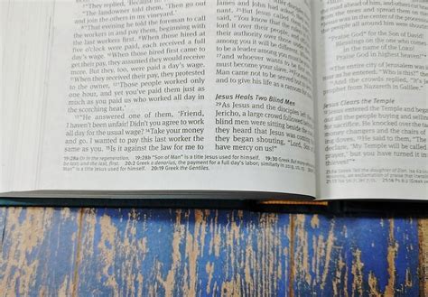 Nlt New Believers Bible 3 Bible Buying Guide