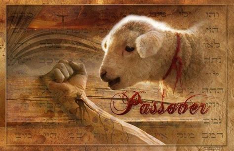 Jesus The Passover Lamb The Light Of Christ Journey