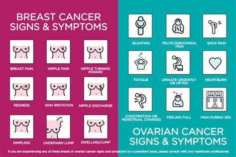 Breast And Ovarian Cancer Signs And Symptoms Wear Ease Inc