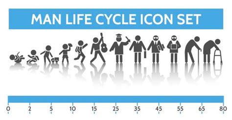 Age Progression Illustrations Royalty Free Vector Graphics And Clip Art